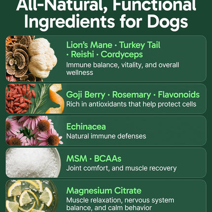 K9 Immune, All-Natural Mushroom Powder for Dogs for Immunity, Digestion, Joints, & Energy, Antioxidant-Rich & USA-Made, Dog Immune Support with Turkey Tail Mushroom for Dogs, 30 Servings