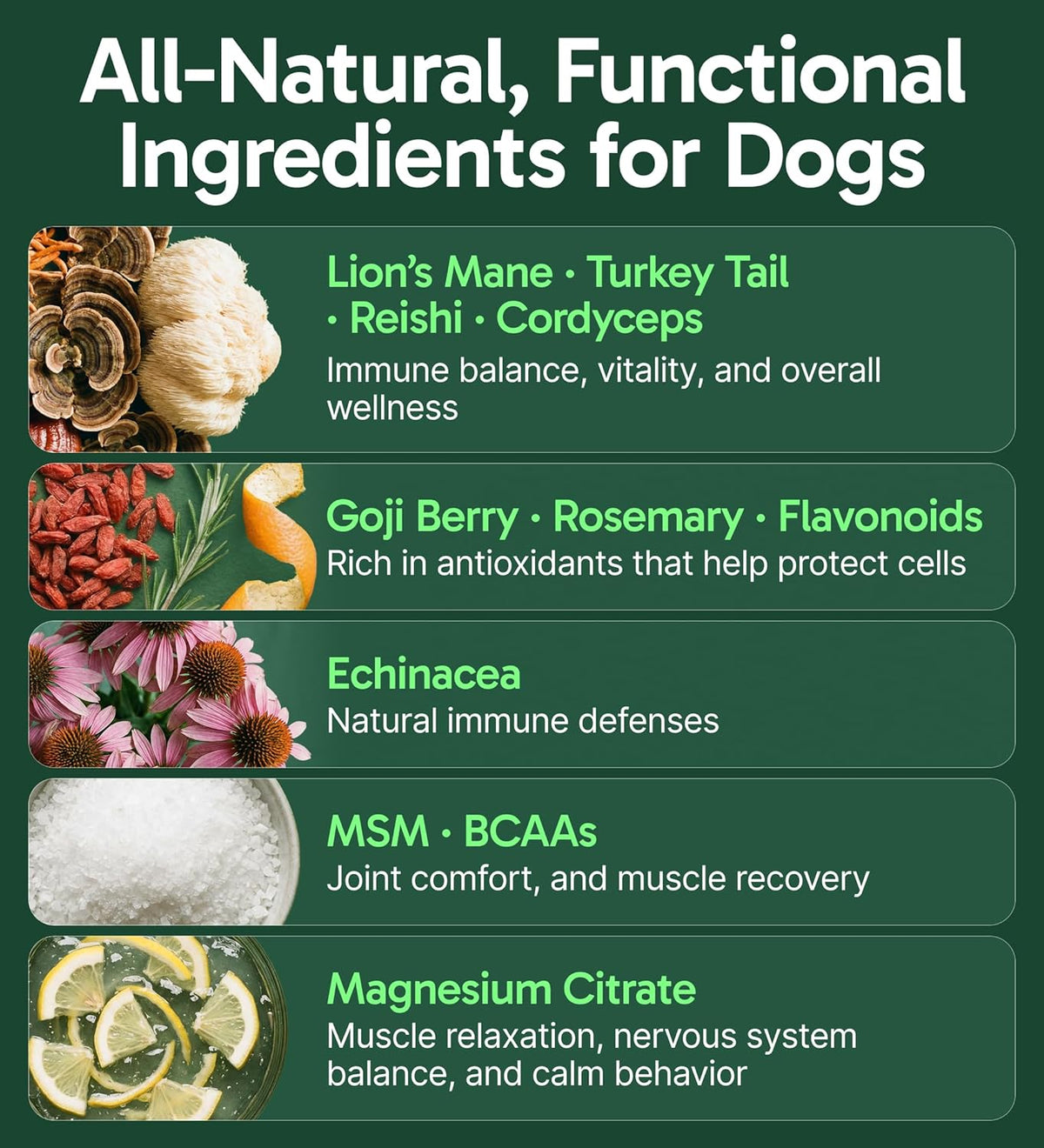 All-Natural Mushroom Powder for Dogs, 30 Servings - photo 3