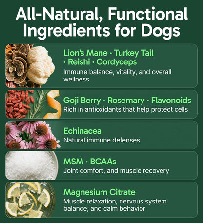 All-Natural Mushroom Powder for Dogs, 30 Servings - photo 3