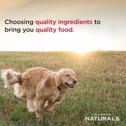 Diamond Naturals Small Breed Chicken and Rice Formula Adult Dry Dog Food with Protein from Real Chicken, Healthy Fats, Probiotics and Essential Nutrients for Small Breed Dogs 6lb