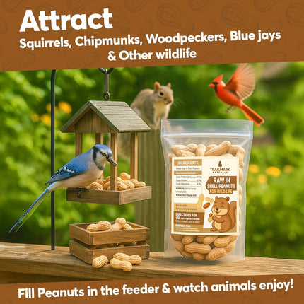 3 LB - Raw Peanuts For Squirrels, Raw In Shell Peanuts For Birds and Wildlife- Squirrel Food, Wild Bird Seed - Grown in The USA