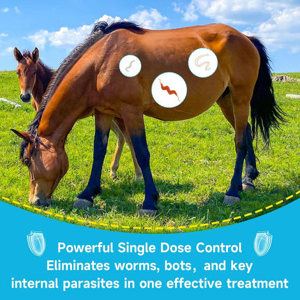Ivermectin Horse Dewormer Paste, Apple Flavor, 0.21 oz, 6-Pack – Effective Worm Treatment for Horses
