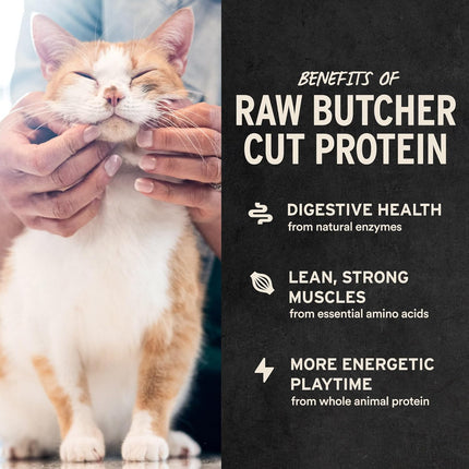Vital Essentials Freeze Dried Minnows Cat Treats | Single Ingredient | Premium Quality | Grain Free, Healthy Treats for Cats, 0.5 oz Bag