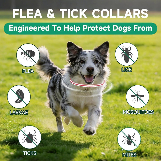 4 Pack Flea Collar for Dogs, Flea and Tick Prevention for Dogs