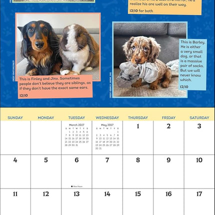WeRateDogs 2027 Wall Calendar