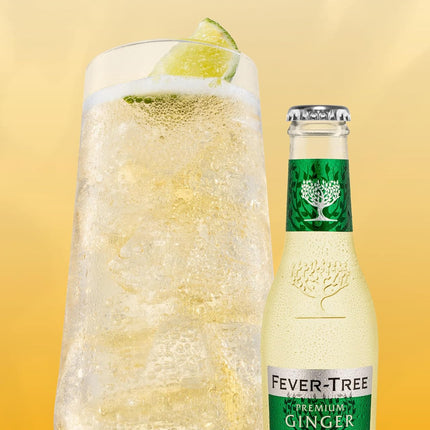 Fever-Tree Premium Ginger Ale, No Artificial Sweeteners, Flavourings or Preservatives, 6.8 Fl Oz (Pack of 24),A500111