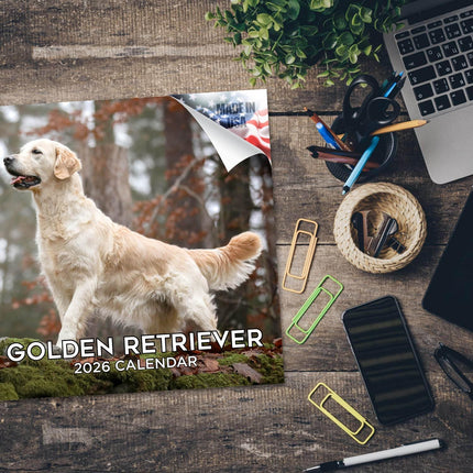 Golden Retriever Calendar 2026 – 16-Month Dog Breed Wall Calendar by MegaCalendars – Large Daily Blocks, Thick No-Bleed Paper, Made in USA