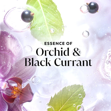 Gel de ducha para mujer, aroma orquídea y grosella negra, 22 fl oz