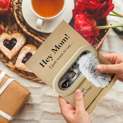 IDU Funny Mothers Day Card for Mom,Cute Cat Mother’s Day Cards Gifts from Daughter Son