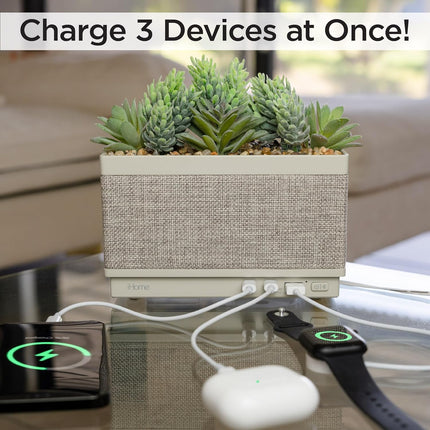 iHome PowerPlant Charging Station, Faux Succulent with USB Charging Station (Power Plant Speaker)