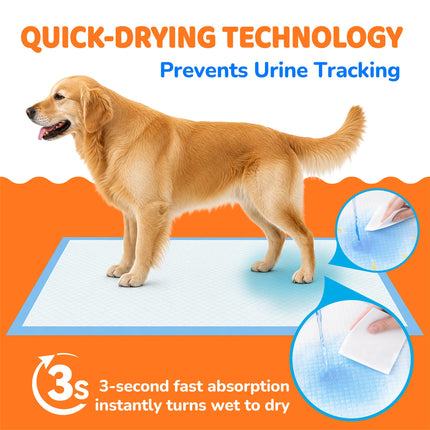 100 Count Puppy Pads 28"x34", Extra Large, Super Absorbent