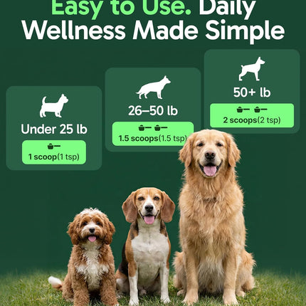 K9 Immune, All-Natural Mushroom Powder for Dogs for Immunity, Digestion, Joints, & Energy, Antioxidant-Rich & USA-Made, Dog Immune Support with Turkey Tail Mushroom for Dogs, 30 Servings