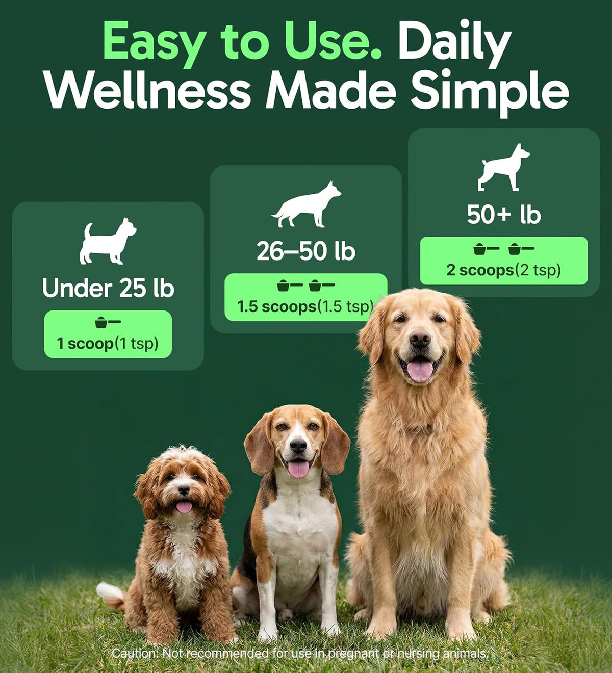 All-Natural Mushroom Powder for Dogs, 30 Servings - photo 4