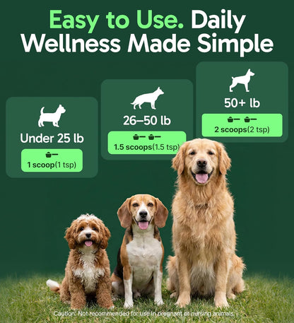 All-Natural Mushroom Powder for Dogs, 30 Servings - photo 4