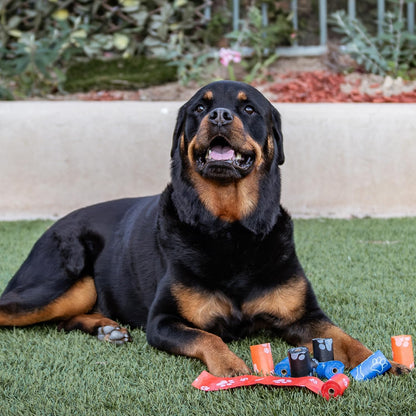 Dog Poop Bags for Waste Refuse Cleanup, Doggy Roll Replacements for Outdoor Puppy Walking and Travel - photo 5