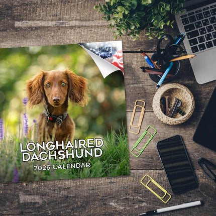 Longhaired Dachshund Calendar 2026 – 16-Month Dog Breed Wall Calendar by MegaCalendars – Large Daily Blocks, Thick No-Bleed Paper, Made in USA