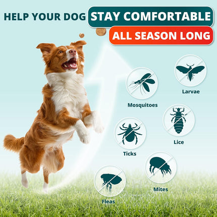Flea and Tick Prevention for Dogs Chewables - Natural Dog Flea and Tick Treatment - Oral Control Pills - Vet Recommended Supplement - Skin & Coat Support Soft Chews - All Breeds & Sizes - Made in USA