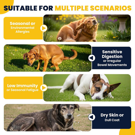 Dog Allergy Chews Probiotics for Dogs Yeast