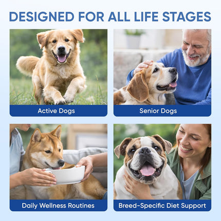 Doggy Supps Taurine for Dogs, Taurine Supplement for Dogs, Immune Support, Boost Energy & Vitality, Skin & Coat Health for Heart, Vision & Daily Wellness, 200 Grams (1)