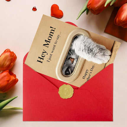 IDU Funny Mothers Day Card for Mom,Cute Cat Mother’s Day Cards Gifts from Daughter Son