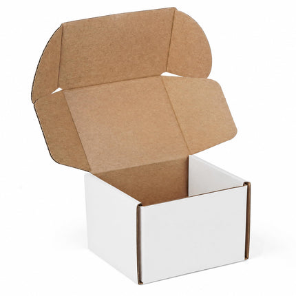 12"x9"x3" Shipping Boxes Set of 5, White Corrugated Cardboard Box Literature Mailer