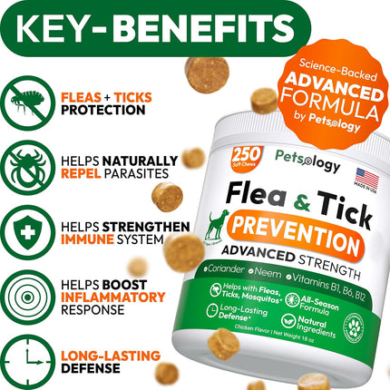 Flea and Tick Prevention for Dogs Pills - 250 Soft Chews - Natural Dog Flea & Tick Control - Oral Defense Treatment for Dogs Supplement - Vet Formulated Chews - All Breeds & Ages - Made in USA