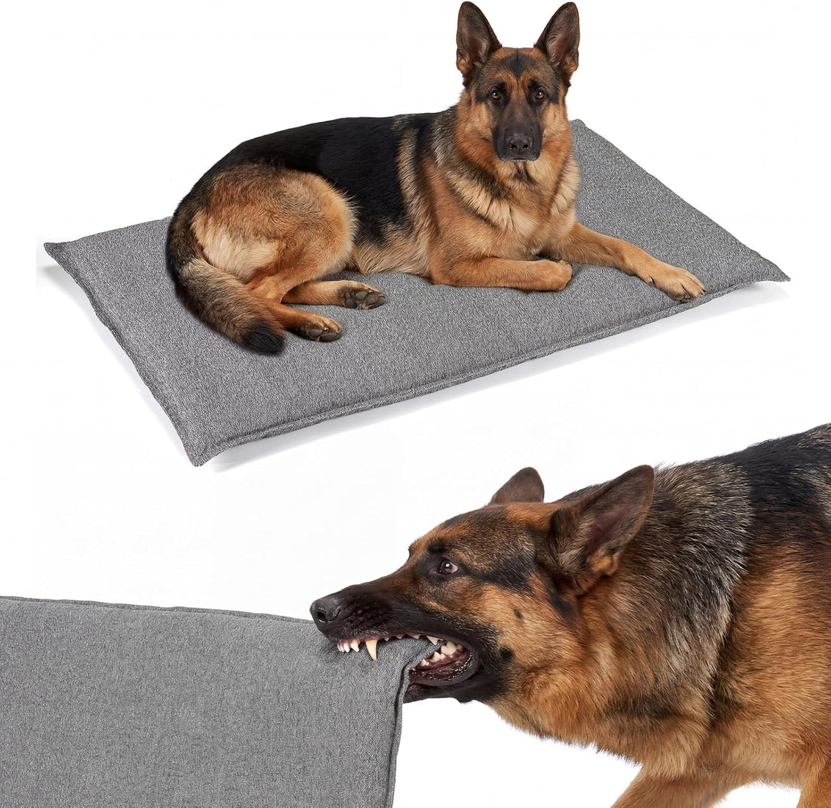 Chew-Resistant Dog Crate Pad and Bed Mat
