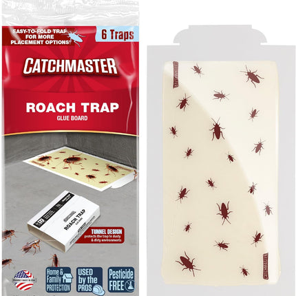 Dubia Roaches Medium Live Feeder - Package