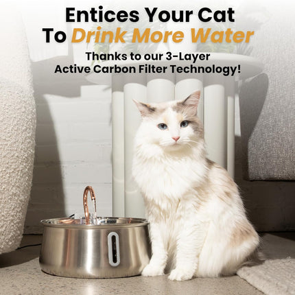 KittySpout Stainless Steel Cat Water Fountain Automatic Drinking Fountain, Quiet Circulating Water Bowl, Dishwasher Safe, Indoor Pet Fountain for Hydrated Healthy Cats (Stainless Steel, 4L Corded)