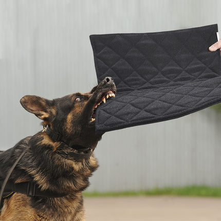 Dog Bed - Chew Proof Crate Pad, Machine Washable Quilted Mat for Aggressive Chewers, Durable for Medium Dogs, Black Kennel Pad (22x35 in)