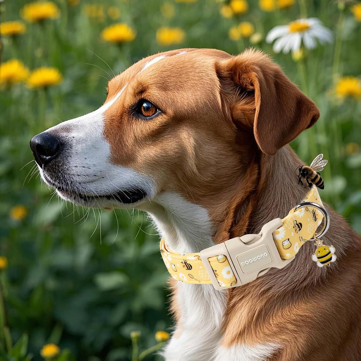 Yellow Bee Adjustable Dog Collar for Dogs, Size M - photo 4