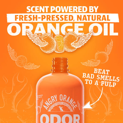 Eliminador de olores para mascotas para orina de perro y gato, Orange Rush, 24 oz