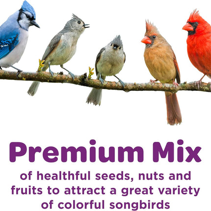 Kaytee Nut & Fruit Wild Bird Seed, 5 lb