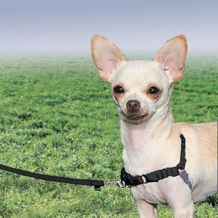 PetSafe Easy Walk No-Pull Dog Harness - The Ultimate Harness to Help Stop Pulling - Take Control & Teach Better Leash Manners - Helps Prevent Pets Pulling on Walks, Petite, Black/Silver