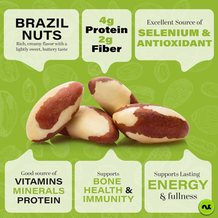 Raw Brazil Nuts In Shell - Whole, (16oz - 1 LB) Packed Fresh in Resealable Bag - Healthy Protein Food Snack, Food Assortments