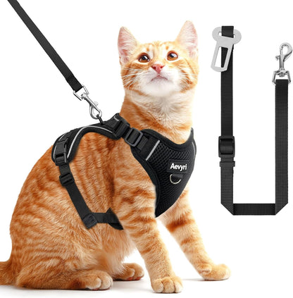 Black Adjustable Cat Harness and Leash, Medium