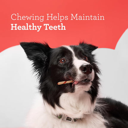 Rawhide-Free Twist Sticks Chews for Dogs, 50 Count