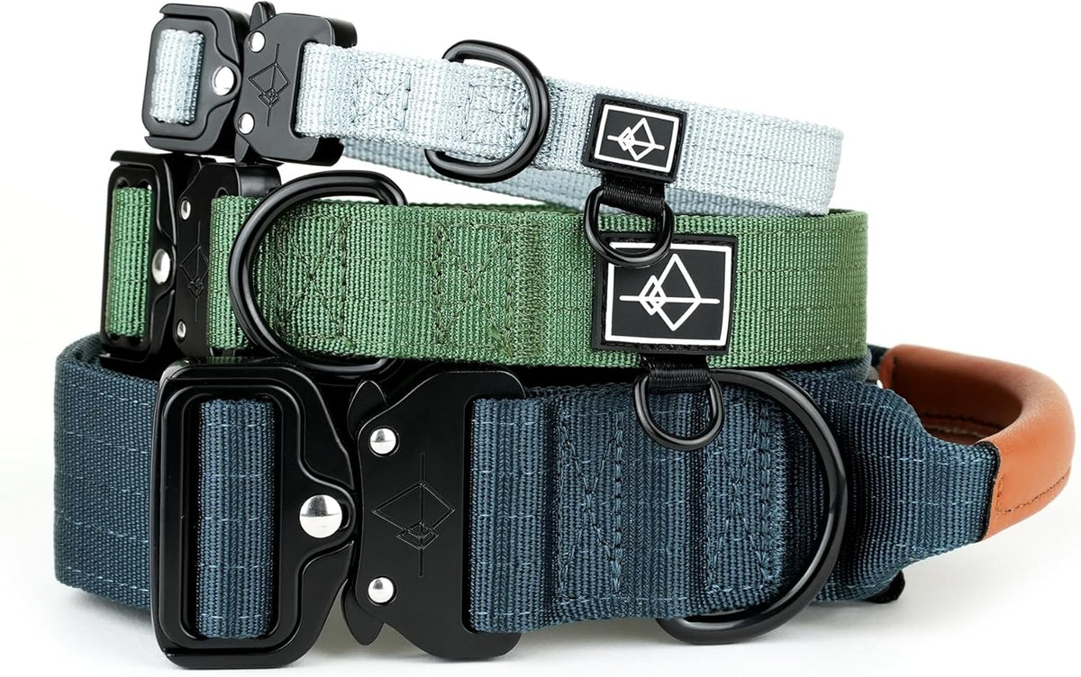 Premium Adjustable Heavy Duty Nylon Dog Collar - California Horizon, Classic Size 3