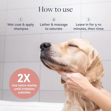 Veterinary Formula Clinical Care Hot Spot & Itch Relief Medicated Shampoo for Dogs and Cats 16 Fl Oz – Helps Alleviate Sensitive Skin, Scratching, and Licking of Coat (2 Pack)