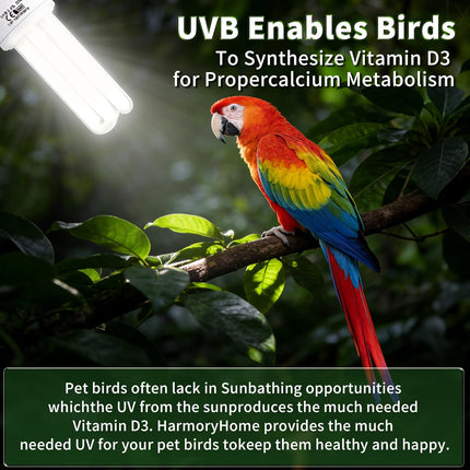 Bird Cage UVB Light Combo Kit, Avian Sun Lamp 2.4% UVB UVA 20W Compact Fluorescent Bulb for All Kinds Captive Birds, 2 Bulbs Included