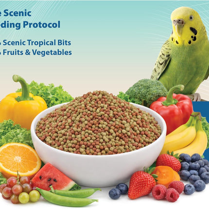 Scenic Tropical Bits Small Pet Bird Food - 1.75 lb Bag - 1/8" Bird Pellets - Complete Nutrition for Cockatiels, Budgies, Lovebirds, Conures & Lories