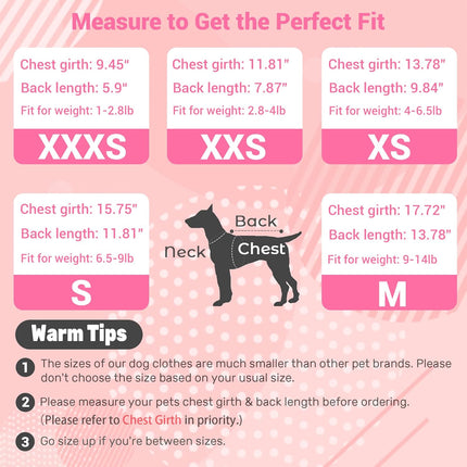 Dog Dress, Fashion Puppy Tutu Princess Dresses for Small Dogs Girl, Sweet Skirt with Dog Bowknot Clips, Spring Dog Cat Clothes Pet Apparel (Denim Princess Dress, XX-Small)