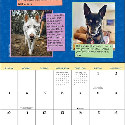 WeRateDogs 2027 Wall Calendar