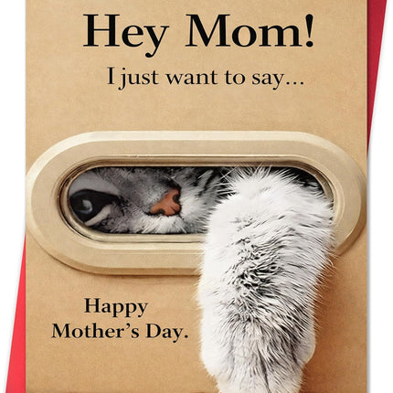IDU Funny Mothers Day Card for Mom,Cute Cat Mother’s Day Cards Gifts from Daughter Son