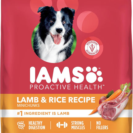 IAMS Dry Dog Food Lamb and Rice Proactive Health Food for Dogs, 15.0 lb