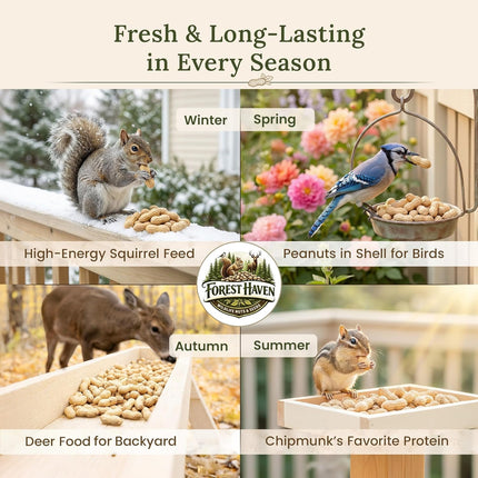 Forest Haven Premium Raw Peanuts for Squirrels – 10LB Bulk Squirrel Food – Unsalted Peanuts in Shell for Birds, Deer & Wildlife – Bonus Binoculars Included - USA Grown
