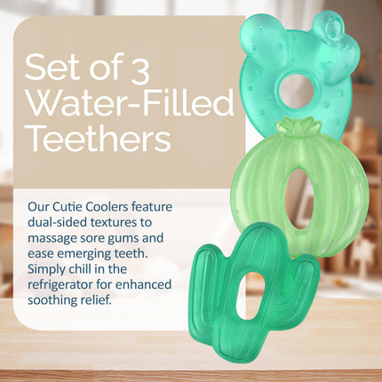 Water-Filled Teethers for Teething, Set of 3 Green Cactus - photo 2