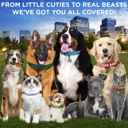 TECEUM Reflective Dog Collar – Black – L – Extra Soft Padding – Basic Nylon Pet Collar – Quick Release Buckle – Fits Small, Medium and Large Dogs, Puppies, Cats – ESA & Service Dog Options
