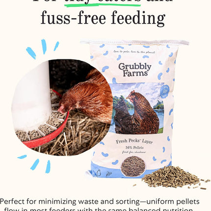 Grubbly Farms Fresh Pecks Layer Chicken Feed Pellets - 16% Layer Feed for 20+ Week Old Hens, Batams, and Larger Breeds - Contains Black Soldier Fly Grubs - No Soy, Corn, or Fish - 30 lb Bag