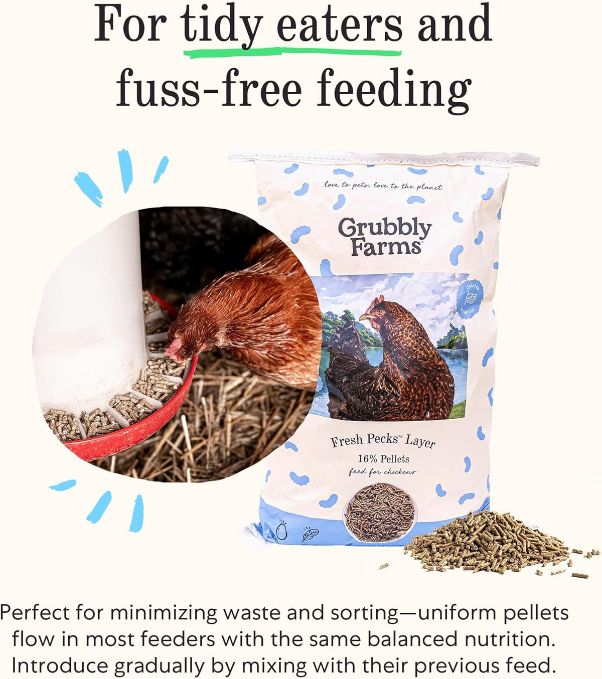 Layer Chicken Feed Pellets - photo 3
